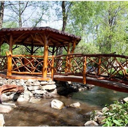 Pensiunea Pentru Tine Prietene Arcani Экстерьер фото