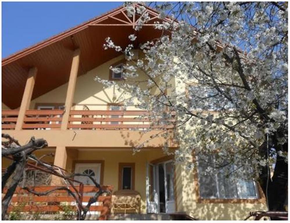 Pensiunea Pentru Tine Prietene Arcani Номер фото