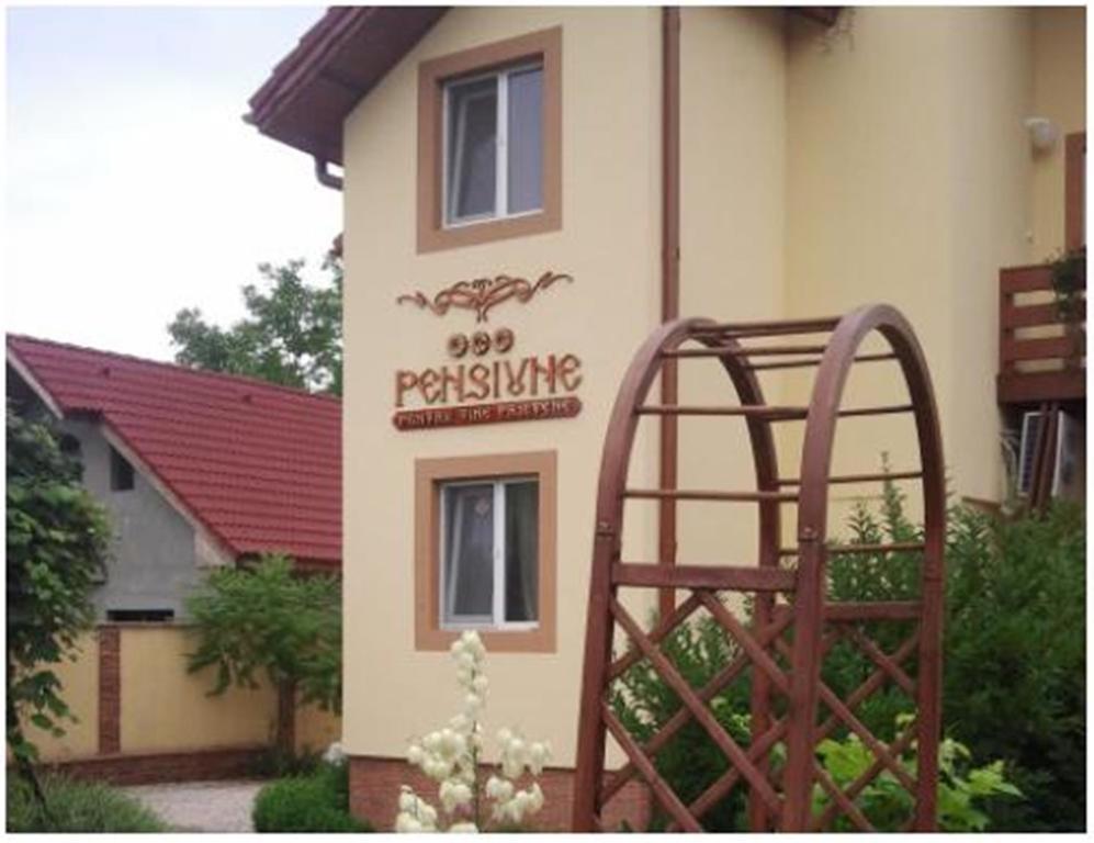 Pensiunea Pentru Tine Prietene Arcani Экстерьер фото